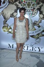 Debina Banerjee at House of Marley event in Mumbai on 14th Feb 2013 (72).JPG